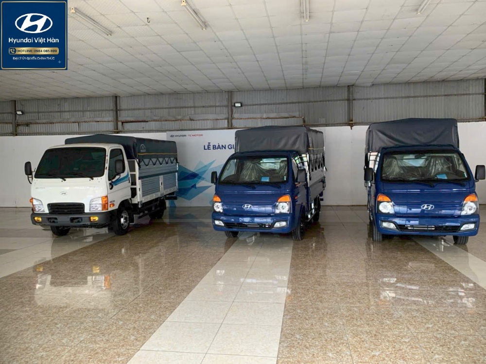 Kinh Nghiệm Chọn Xe Tải Hyundai Cho Hộ Kinh Doanh Tại Ninh Bình