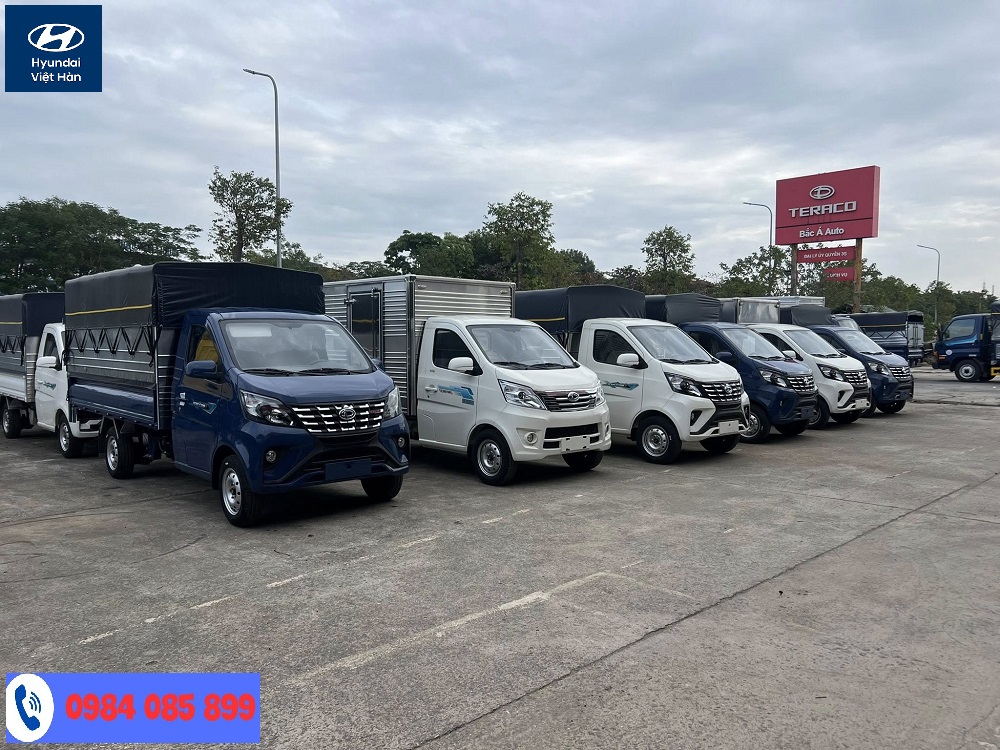 Tera Star có hai phiên bản 990kg và 1.25 tấn để người mua dễ dàng lựa chọn