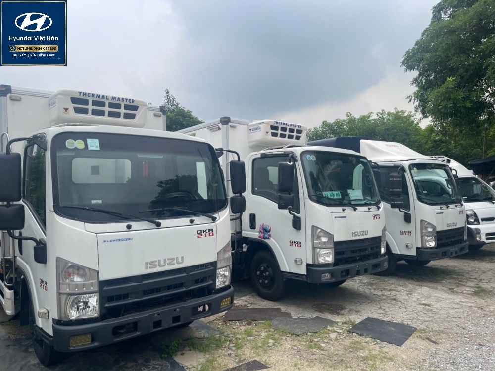 Xe tải đông lạnh isuzu cũ