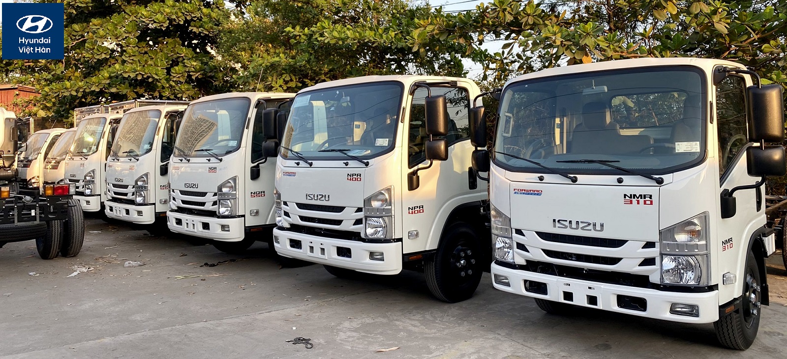 Xe tải ISUZU NMR 310