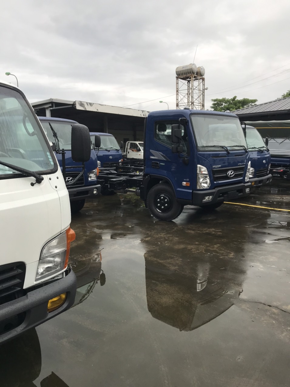 Mua xe tải Hyundai