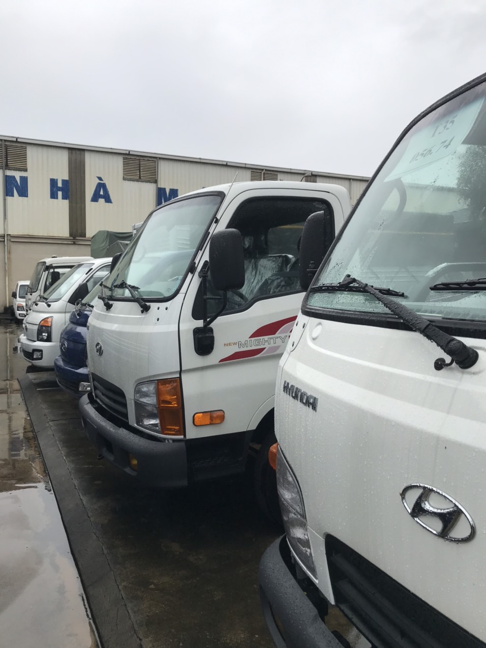 Xe tải Hyundai nhập khẩu