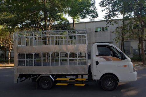 Xe chở lợn Hyundai H150 thùng chở gia súc