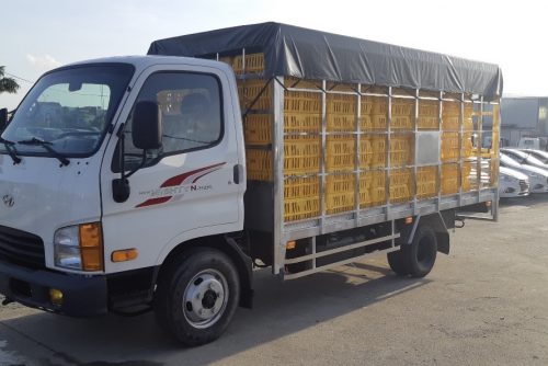 Xe chở gia cầm Hyundai N250SL thùng chở gà vịt