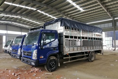 Xe chở gia súc 7 tấn Hyundai EX8