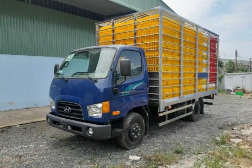 Xe tải chở gà vịt Hyundai Mighty 75s