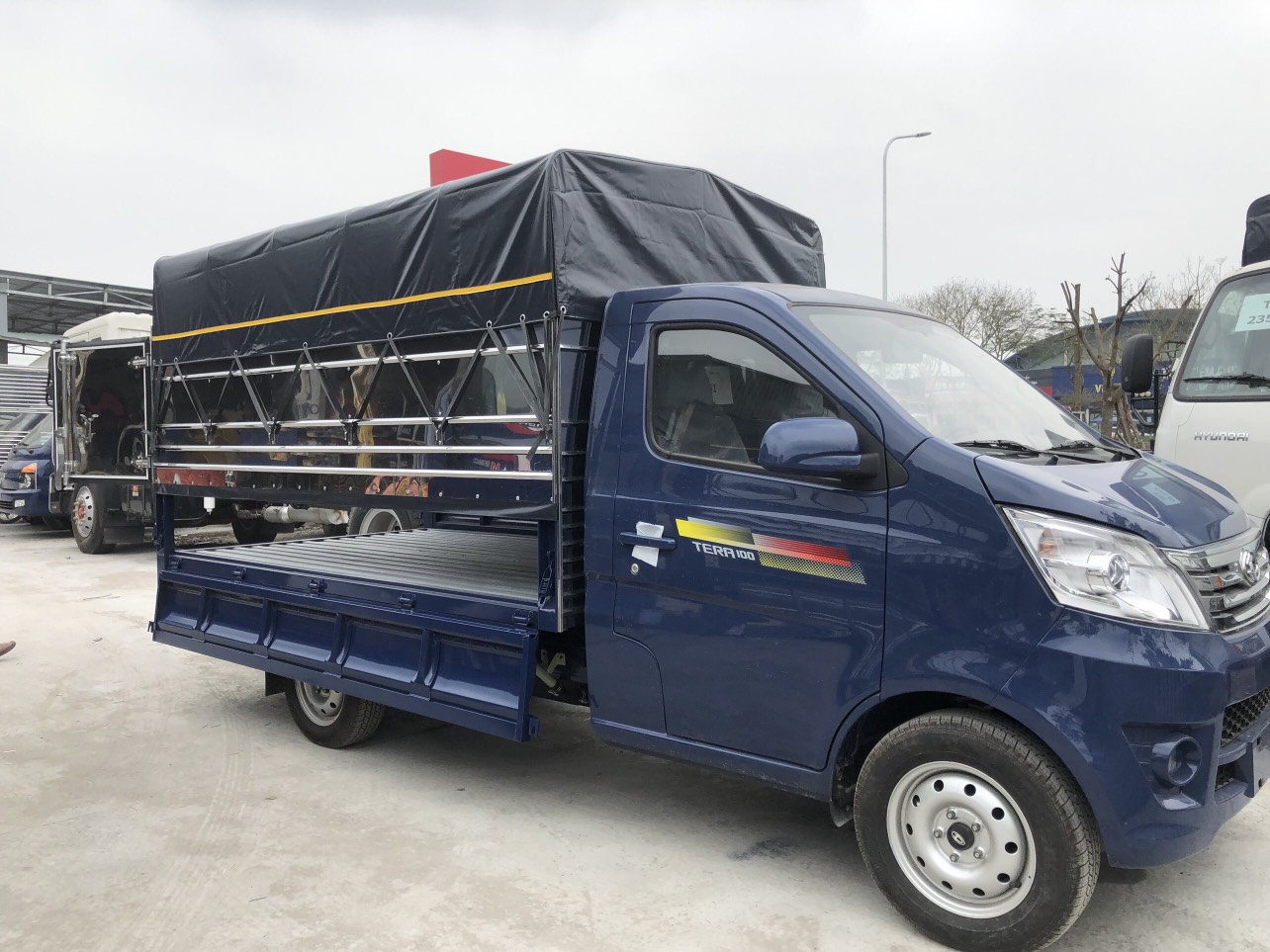 TERA 100 GIÁ LĂN BÁNH 2023