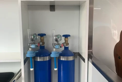 GIÁ XE Ô TÔ ĐIỆN CỨU THƯƠNG